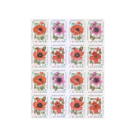 Wrap Around Label